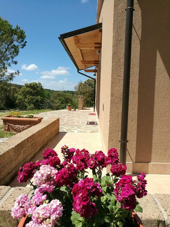 Sonnellino In Maremma Villa Massa Marittima Luaran gambar